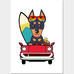 Funny Alsatian driving a car Posters and Art